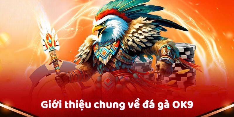 Giới thiệu chung về đá gà OK9