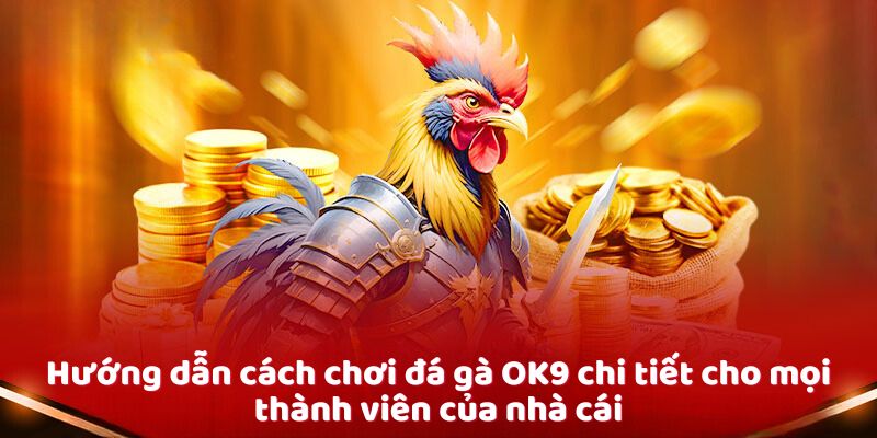 Hướng dẫn cách chơi đá gà OK9 chi tiết cho mọi thành viên của nhà cái