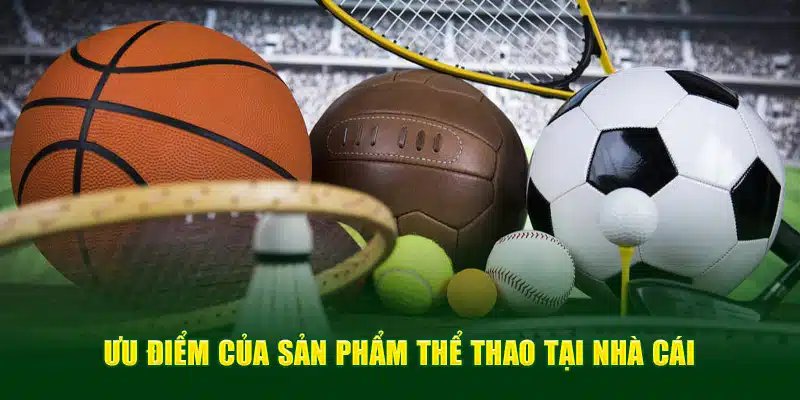 Sảnh thể thao tại nhà cái OK9 mang đến trải nghiệm ưu việt cho hội viên